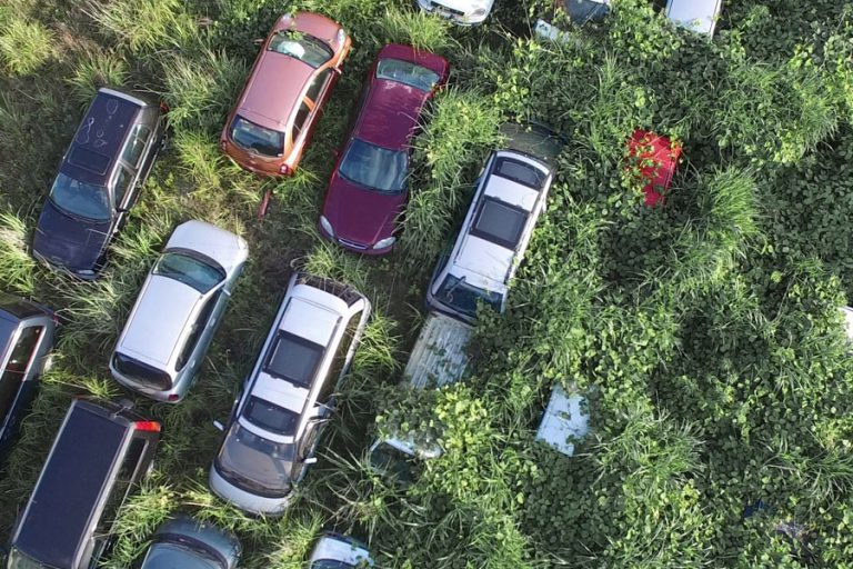 Planeta en transición. Prácticas artísticas ante la crisis ambiental.